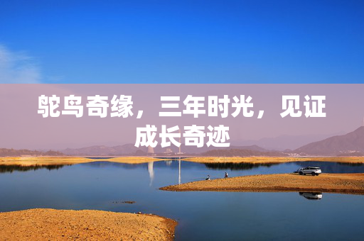 鸵鸟奇缘，三年时光，见证成长奇迹