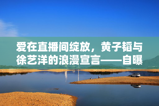 爱在直播间绽放，黄子韬与徐艺洋的浪漫宣言——自曝直播婚礼的甜蜜风暴