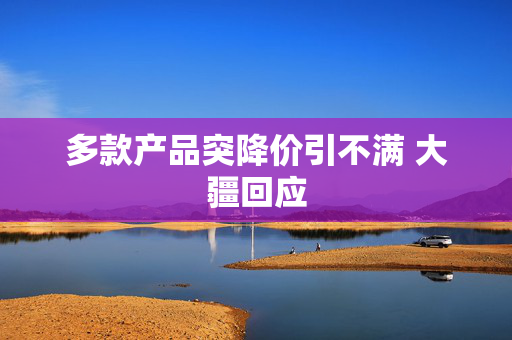 多款产品突降价引不满 大疆回应