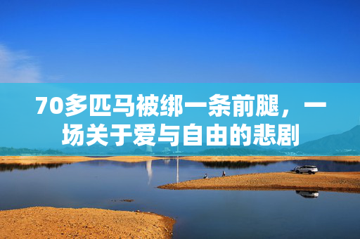 70多匹马被绑一条前腿，一场关于爱与自由的悲剧