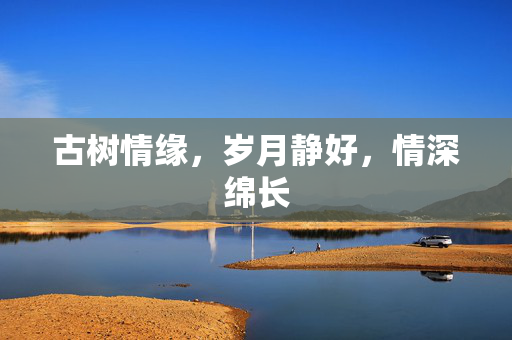 古树情缘，岁月静好，情深绵长