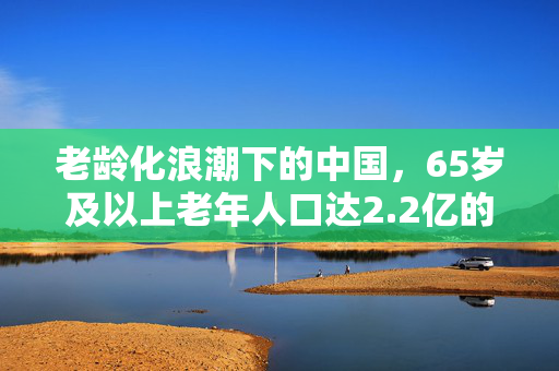 老龄化浪潮下的中国，65岁及以上老年人口达2.2亿的挑战与机遇