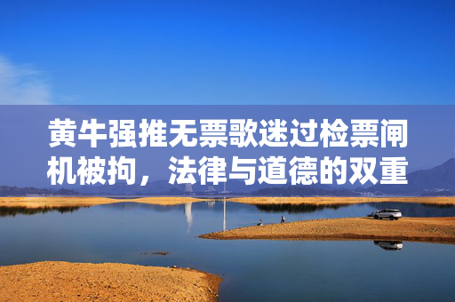 黄牛强推无票歌迷过检票闸机被拘，法律与道德的双重警醒