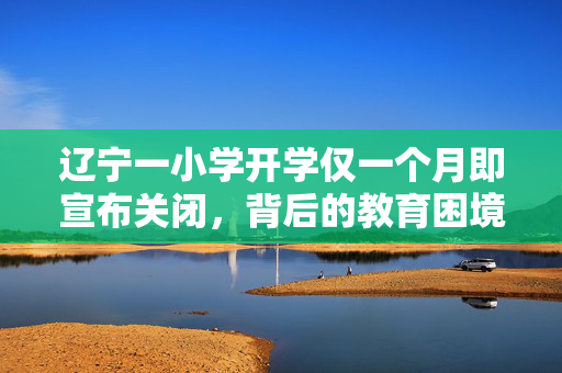 辽宁一小学开学仅一个月即宣布关闭，背后的教育困境与思考