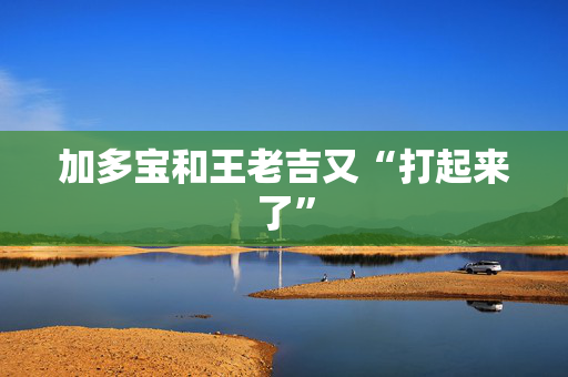 加多宝和王老吉又“打起来了”