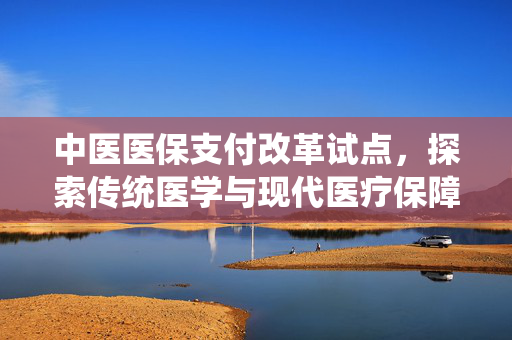 中医医保支付改革试点，探索传统医学与现代医疗保障体系的融合之路