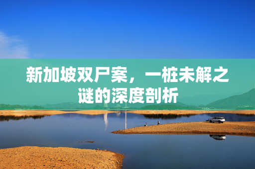 新加坡双尸案，一桩未解之谜的深度剖析