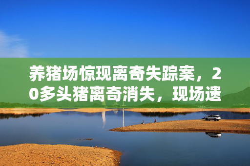 养猪场惊现离奇失踪案，20多头猪离奇消失，现场遗留多支箭头引发猜测