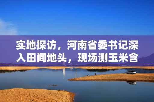 实地探访，河南省委书记深入田间地头，现场测玉米含水量