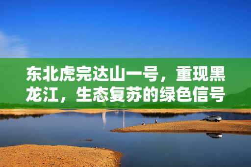 东北虎完达山一号，重现黑龙江，生态复苏的绿色信号