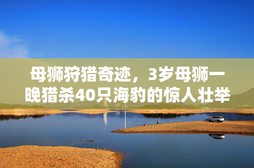 母狮狩猎奇迹，3岁母狮一晚猎杀40只海豹的惊人壮举