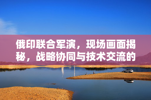 俄印联合军演，现场画面揭秘，战略协同与技术交流的深度融合