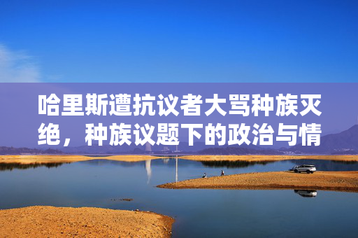 哈里斯遭抗议者大骂种族灭绝，种族议题下的政治与情感交织