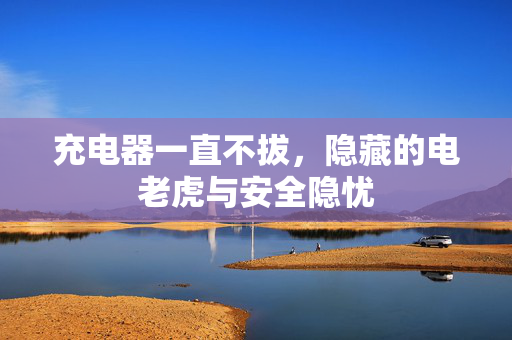 充电器一直不拔，隐藏的电老虎与安全隐忧
