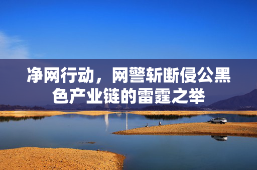 净网行动，网警斩断侵公黑色产业链的雷霆之举
