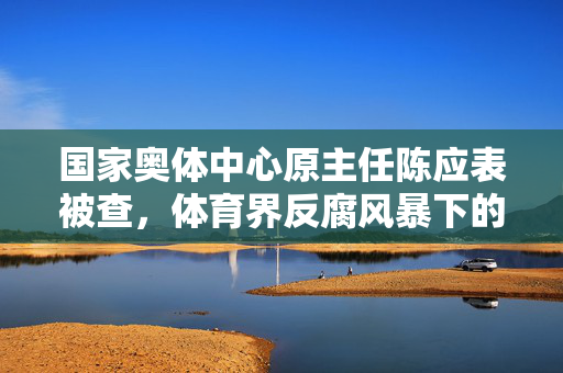 国家奥体中心原主任陈应表被查，体育界反腐风暴下的警钟与反思