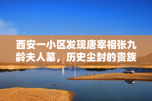 西安一小区发现唐宰相张九龄夫人墓，历史尘封的贵族之谜