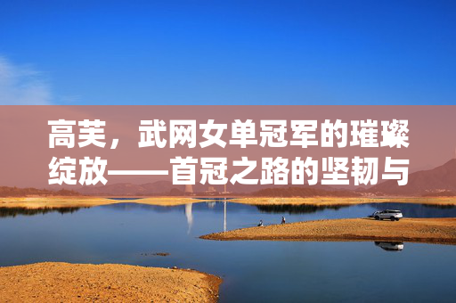 高芙，武网女单冠军的璀璨绽放——首冠之路的坚韧与辉煌