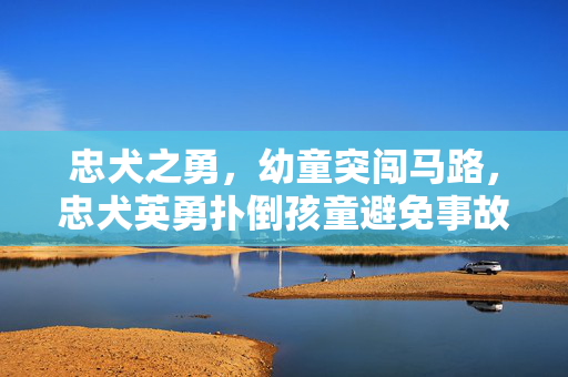 忠犬之勇，幼童突闯马路，忠犬英勇扑倒孩童避免事故