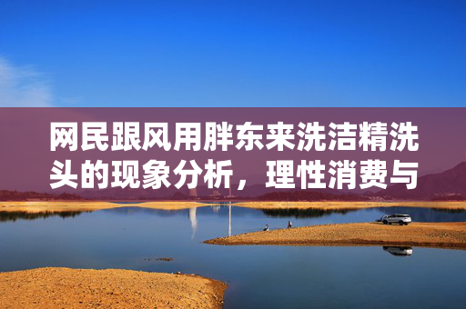 网民跟风用胖东来洗洁精洗头的现象分析，理性消费与网络风潮的反思