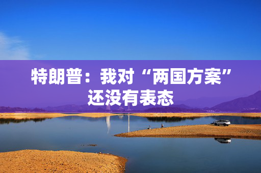 特朗普：我对“两国方案”还没有表态