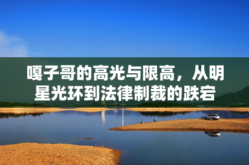 嘎子哥的高光与限高，从明星光环到法律制裁的跌宕