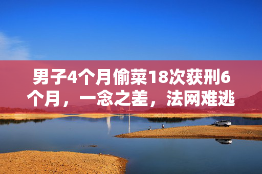男子4个月偷菜18次获刑6个月，一念之差，法网难逃