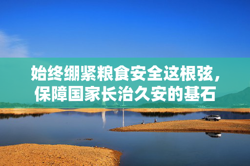 始终绷紧粮食安全这根弦，保障国家长治久安的基石