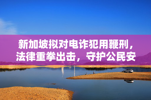 新加坡拟对电诈犯用鞭刑，法律重拳出击，守护公民安全与尊严