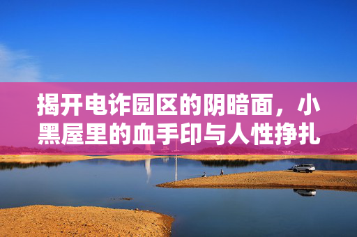 揭开电诈园区的阴暗面，小黑屋里的血手印与人性挣扎