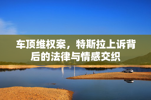 车顶维权案，特斯拉上诉背后的法律与情感交织