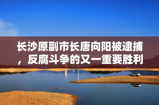 长沙原副市长唐向阳被逮捕，反腐斗争的又一重要胜利