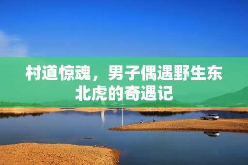 村道惊魂，男子偶遇野生东北虎的奇遇记