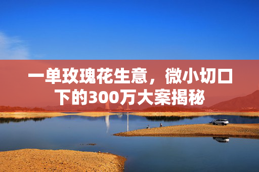 一单玫瑰花生意，微小切口下的300万大案揭秘