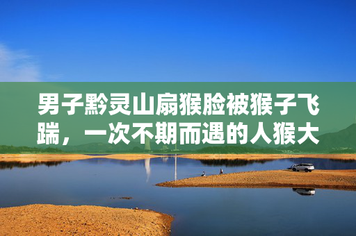 男子黔灵山扇猴脸被猴子飞踹，一次不期而遇的人猴大战