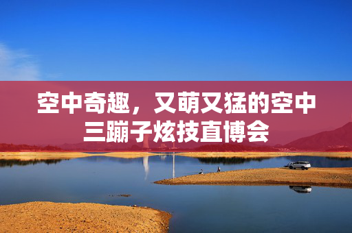 空中奇趣，又萌又猛的空中三蹦子炫技直博会