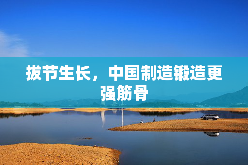拔节生长，中国制造锻造更强筋骨