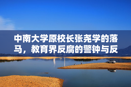 中南大学原校长张尧学的落马，教育界反腐的警钟与反思