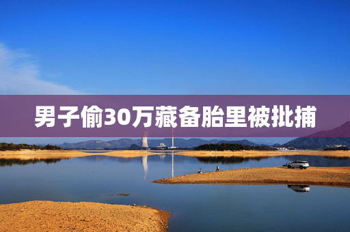 男子偷30万藏备胎里被批捕