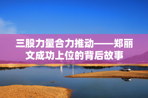 三股力量合力推动——郑丽文成功上位的背后故事