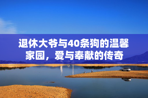 退休大爷与40条狗的温馨家园，爱与奉献的传奇
