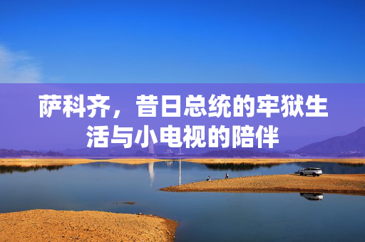 萨科齐，昔日总统的牢狱生活与小电视的陪伴