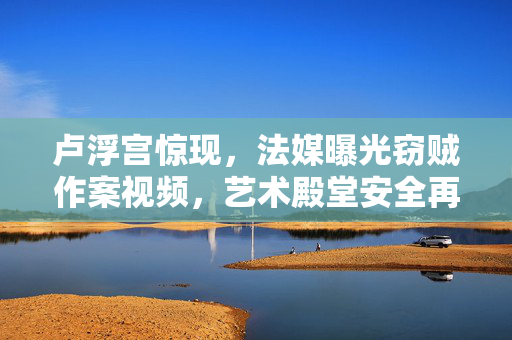 卢浮宫惊现，法媒曝光窃贼作案视频，艺术殿堂安全再引关注
