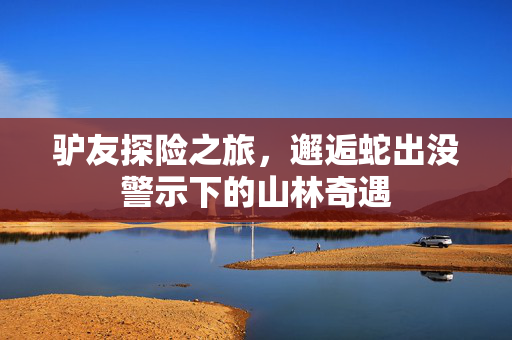 驴友探险之旅，邂逅蛇出没警示下的山林奇遇