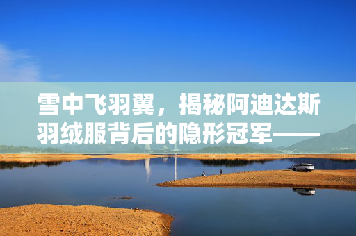 雪中飞羽翼，揭秘阿迪达斯羽绒服背后的隐形冠军——雪中飞代工之谜
