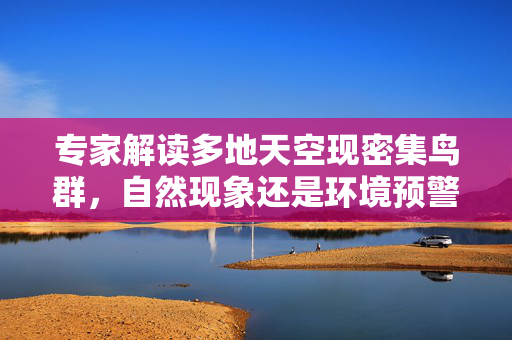 专家解读多地天空现密集鸟群，自然现象还是环境预警？