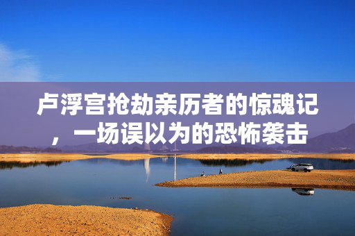 卢浮宫抢劫亲历者的惊魂记，一场误以为的恐怖袭击
