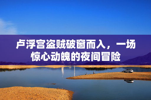 卢浮宫盗贼破窗而入，一场惊心动魄的夜间冒险