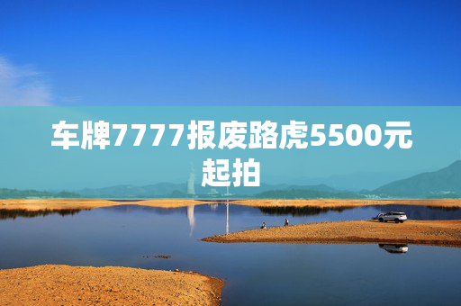 车牌7777报废路虎5500元起拍