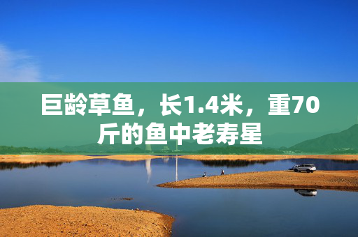 巨龄草鱼，长1.4米，重70斤的鱼中老寿星